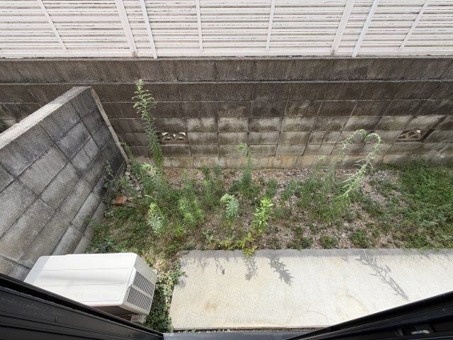 庭