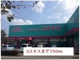 コスモスまで750m