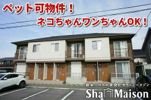 ウィルコートの間取り画像