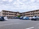 メイフェアの間取り画像