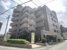 ヒルズ室見の間取り画像