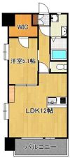 ギャラクシーヴィーラブライトの間取り画像