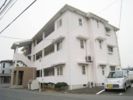 ベージュ278の間取り画像