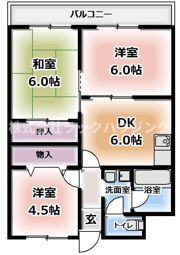 グレイス辻本の間取り画像