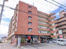 グレース辻町の間取り画像