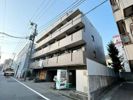 マイナビSTAYミライエ学芸大学の間取り画像