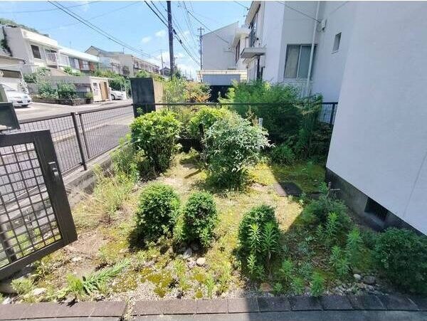 庭
