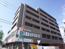 ハウストンコートの間取り画像