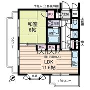 ウィンベルコーラス亀有の間取り画像