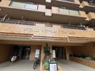 ダイアパレスステーションプラザ船橋の間取り画像