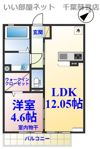 グランディアの間取り画像