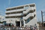 五百羅漢ハイツの間取り画像
