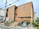 レオネクストハレマーリエの外観