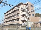 LEO VIVACEの間取り画像