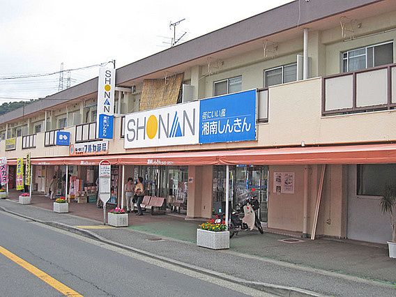 近くの湘南信用金庫北久里浜支店岩戸出張所まで788m(徒歩10分)