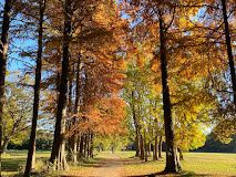 近くの秋ヶ瀬公園まで4,636m(徒歩58分)