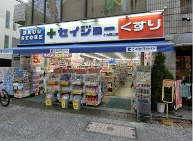 近くのくすりセイジョー大岡山店まで624m（徒歩8分）