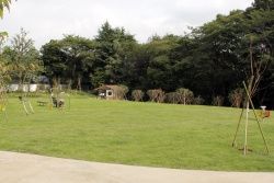 近くのおとめ山公園まで886m(徒歩12分)
