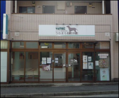 近くのうわまち動物病院まで933m（徒歩12分）
