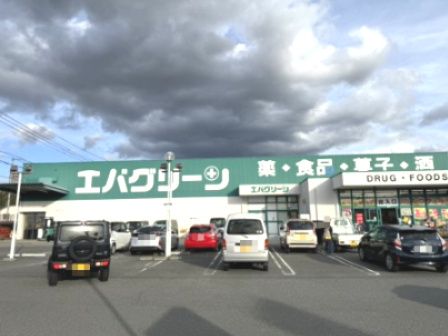 近くのエバグリーン 高野口店まで501m（徒歩7分）