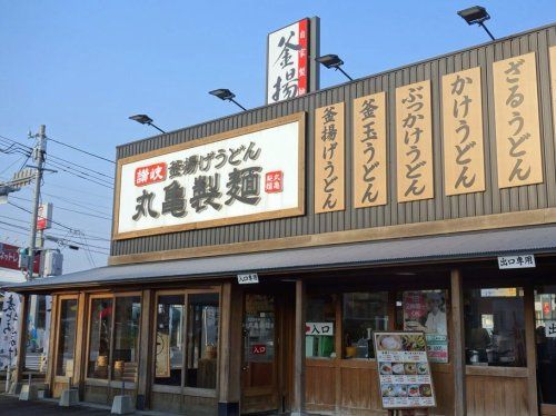 近くの丸亀製麺諫早まで627m(徒歩8分)