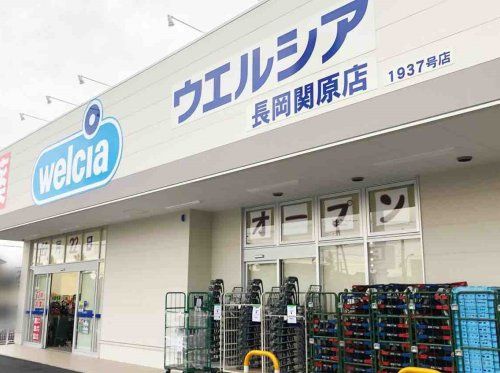 近くのウエルシア長岡関原店まで1,009m（徒歩13分）
