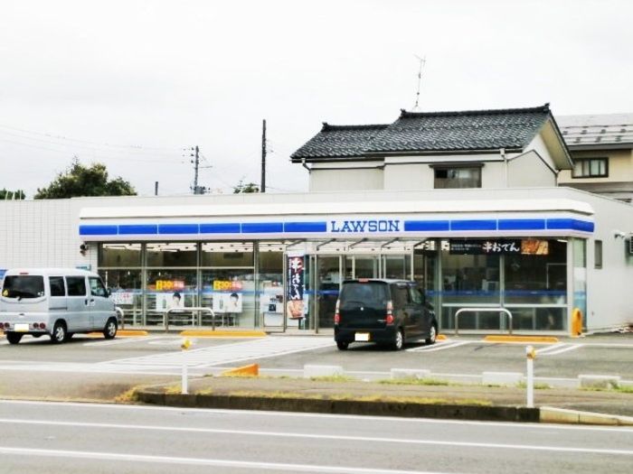 近くのローソン 堤町店まで254m(徒歩4分)