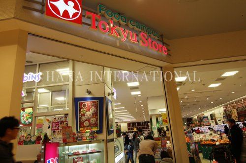 近くの東急ストアららぽーと柏の葉店まで3,176m(徒歩40分)