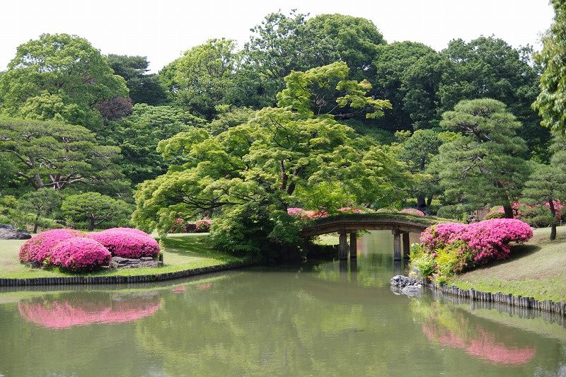 近くの六義園まで1,106m(徒歩14分)