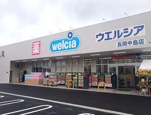 近くのウエルシア長岡中島店まで614m(徒歩8分)