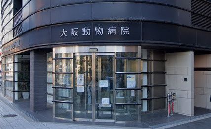 近くの大阪動物病院まで1,496m（徒歩19分）