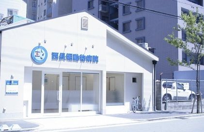 近くの西長堀動物病院まで935m（徒歩12分）