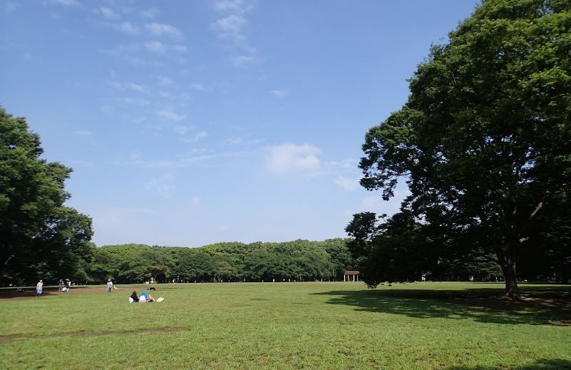 近くの代々木公園まで6,287m(徒歩79分)