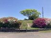 近くの積石塚古墳まで1,684m(徒歩22分)