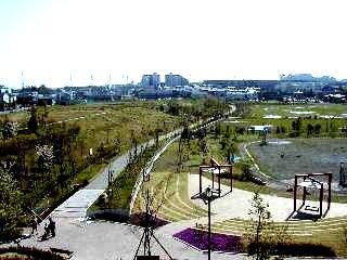 近くの早渕公園まで141m(徒歩2分)