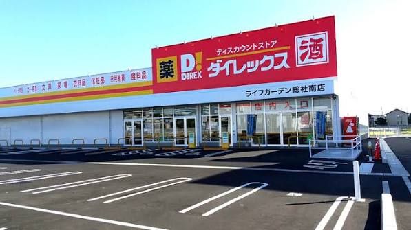 近くのダイレックス ライフガーデン総社南店まで742m(徒歩10分)