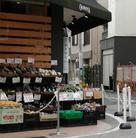 近くの大野屋 元住吉店まで1,309m(徒歩17分)
