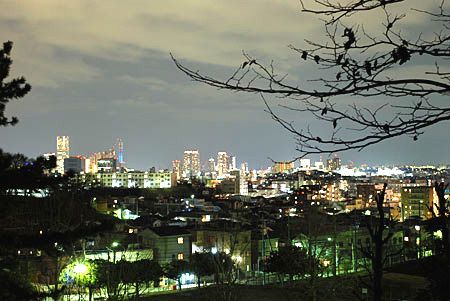 近くの神之木公園まで994m(徒歩13分)