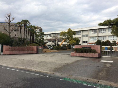 近くの尾張旭市立渋川小学校まで795m(徒歩10分)