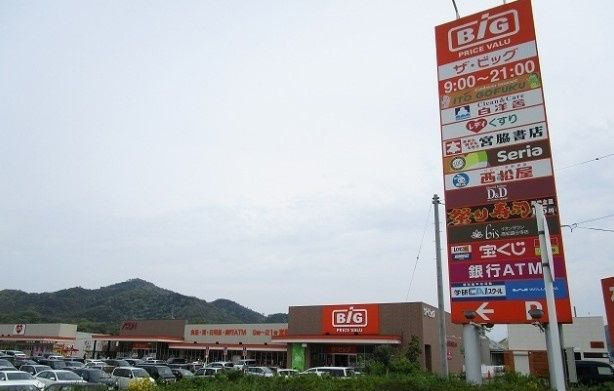 近くのThe Big(ザ・ビッグ) 国分寺店まで541m(徒歩7分)