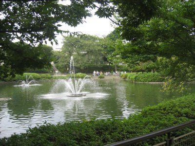 近くの妙正寺公園まで4,691m(徒歩59分)