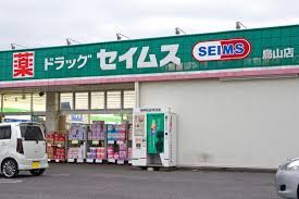 近くのドラッグセイムス 鳥山店まで963m（徒歩13分）