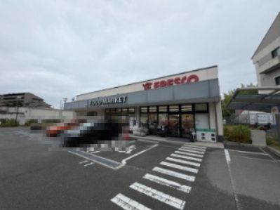 近くのFRESCO東泉丘店まで730m(徒歩10分)