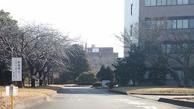 近くの茨城大学 阿見キャンパスまで708m(徒歩9分)