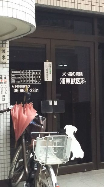 近くの浦東獣医科まで279m(徒歩4分)