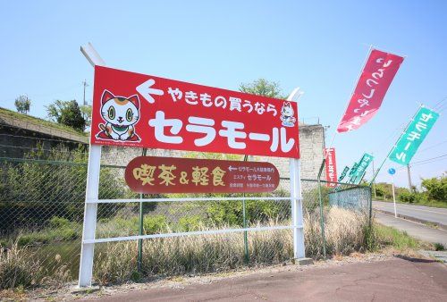 近くのとこなめセラモールまで1,101m(徒歩14分)