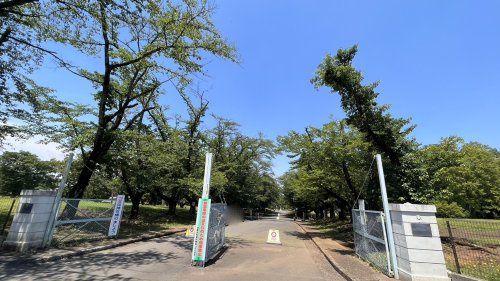 近くの狭山稲荷山公園まで806m（徒歩11分）