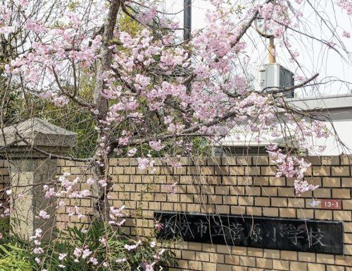近くの枚方市立菅原小学校まで753m(徒歩10分)
