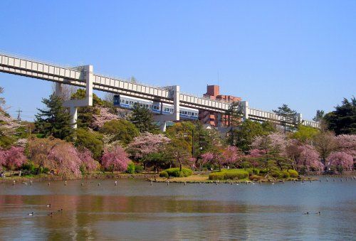 近くの千葉公園まで644m(徒歩9分)