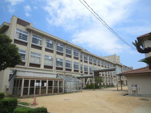 近くの神戸市立住吉小学校まで679m(徒歩9分)